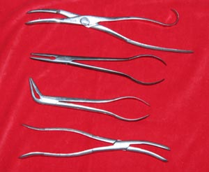 cranio forceps 1a